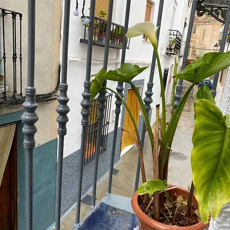 Holiday home Casa Lamedina *